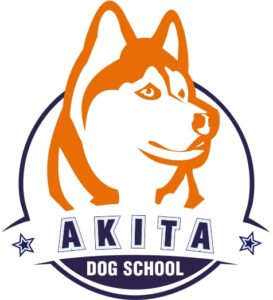 Akita Dog School